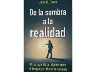 De la Sombra a la Realidad